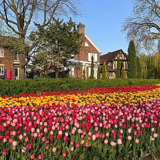 Expreso a Ottawa con Leopoldo Erice