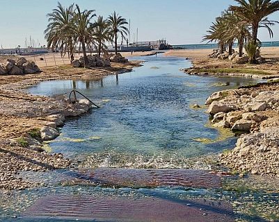 El riuet de Coma-ruga recupera el seu aspecte natural