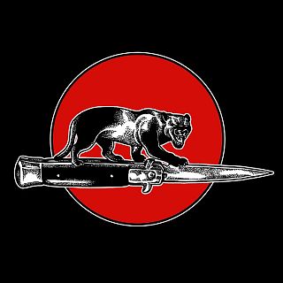 Pelea de gatos con Jim Jones All Stars