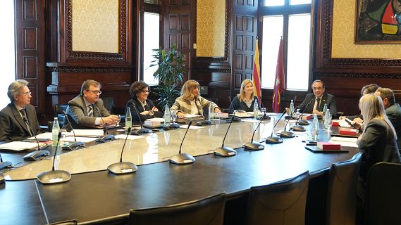 El Parlament recorre l'obligaci� de penjar la bandera espanyola