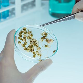 Ciencia y naturaleza: Palencia acoge la cátedra One Health