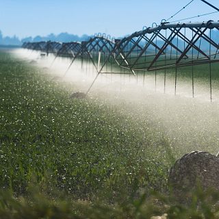 Un projet pour optimiser l'eau dans l'agriculture irriguée
