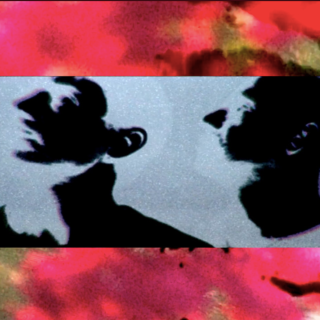 La importancia de Blanco Palamera