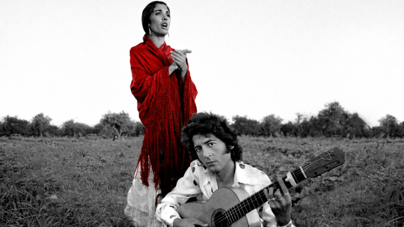 Amordiscos - Fiesta gitana