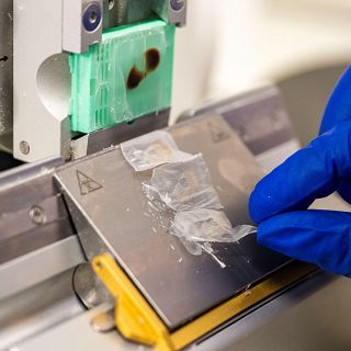 Escamas de peces para regenerar la córnea humana