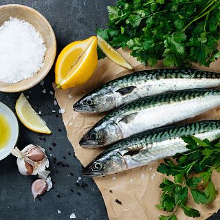 Caballa, tintorera y coloraillo, protagonistas del Salón Gourmets