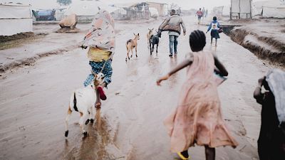 Miles de refugiados congoleños vuelven de Burundi a RDC