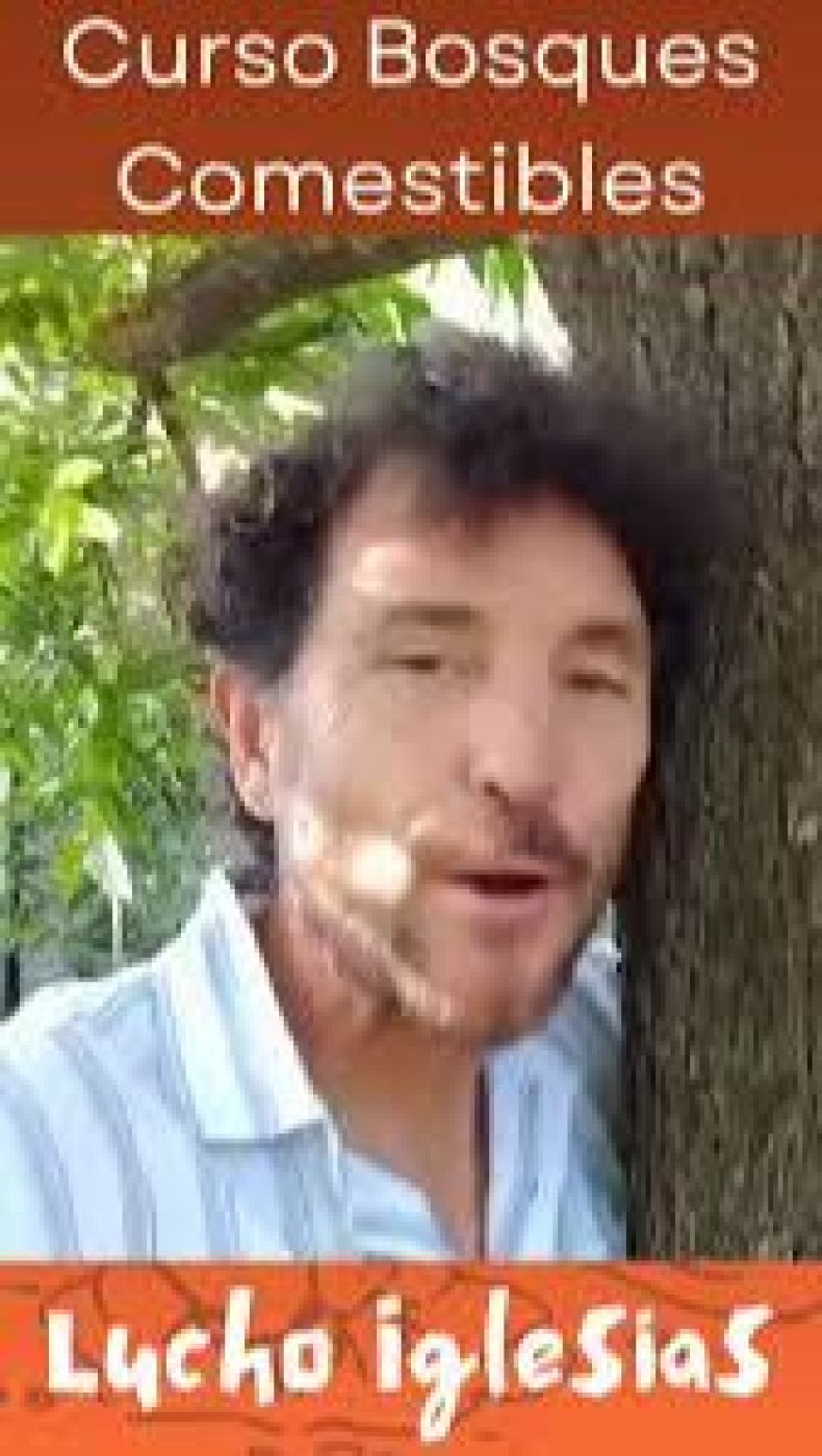 En un mundo feliz en Radio 5 - Lucho Iglesias, curso sobre bosques comestibles - 11/04/26 - Escuchar ahora