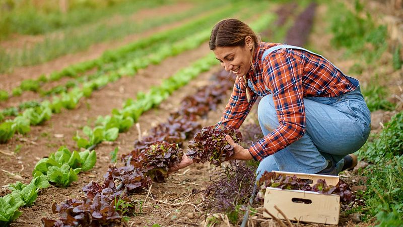 Mundo rural - Encarecimiento de los alimentos por la Guerra de Irán - 10/04/26 - Escuchar ahora