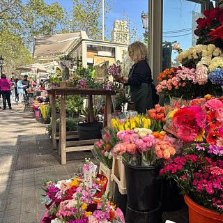 Les floristes deixen la Rambla: on seran per Sant Jordi?