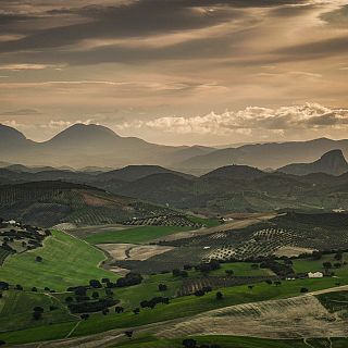 Biodiversidad de la Sierra Sur en la provincia de Sevilla
