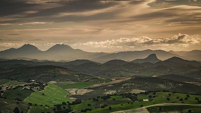 Biodiversidad de la Sierra Sur en la provincia de Sevilla