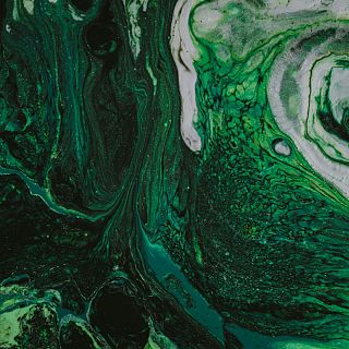 Mendocann 2026 (Parte 2)