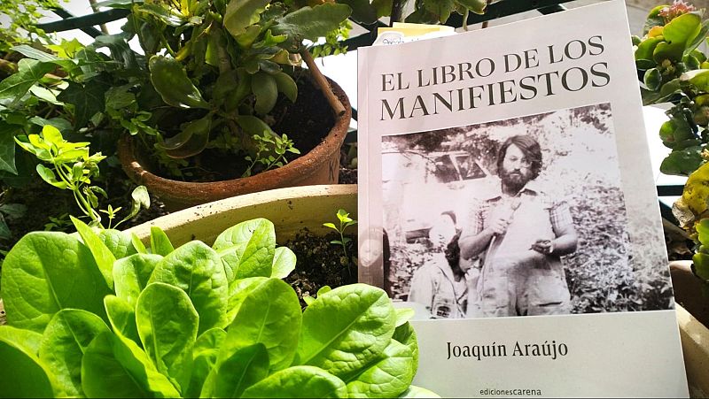 El bosque habitado - La hora de los manifiestos - 12/04/26 - El bosque habitado | Escuchar