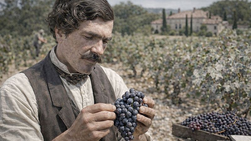 Historias del vino - Alicante Bouschet o Garnacha Tintorera: una profecía cumplida - 13/04/26 - Escuchar ahora
