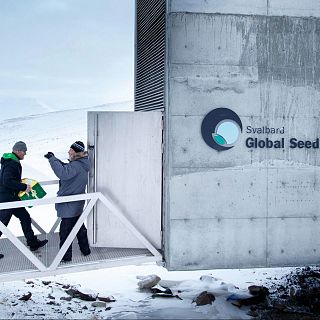 Nuestro aceite de oliva, a salvo en el Arca de Noé