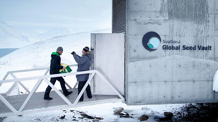 Nuestro aceite de oliva, a salvo en el Arca de Noé