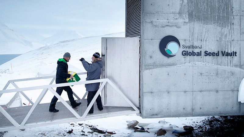 Nuestro aceite de oliva, a salvo en el Arca de Noé - Españoles en el exterior | Escuchar