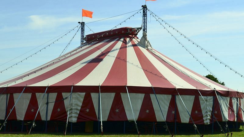 David Zurdo: Un circo de pulgas real