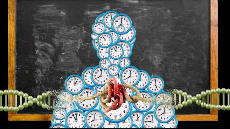 Historia y ciencia por un tubo - Buenos días o buenas noches, depende - 22/04/26 - Escuchar ahora