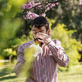 Las temperaturas suavizan las duras previsiones en alergias