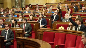 El Parlament demana escur�ar a 20 dies els recursos judicials en casos d'eutan�sia