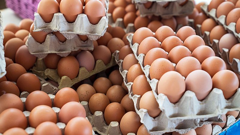 La Historia Mínima de David Zurdo: "un problema de huevos" - escuchar ahora