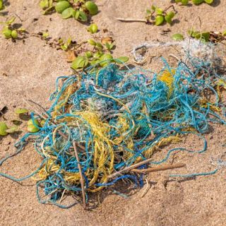 Inflació, economia global i política europea amb Bottini, "l'habitació que neteja el mar", i teràpia lingüística amb Míriam Martín Lloret