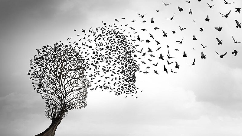 Pensemos fuerte - ¿Es la muerte el final de la conciencia? - Escuchar ahora