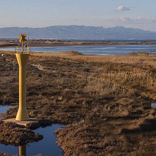 La Natura no pot esperar. Monogràfics d'Actualitat Climàtica