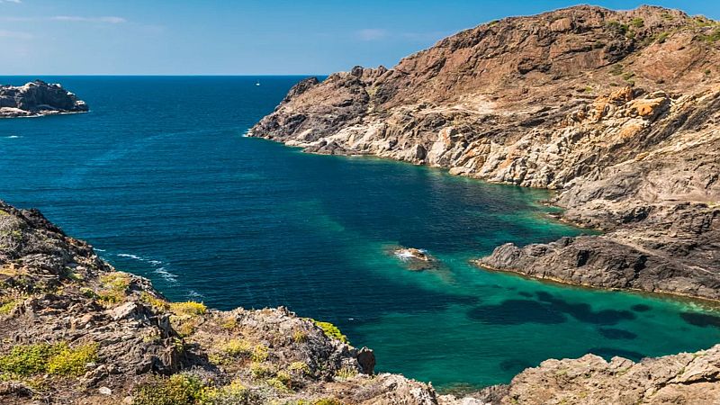 Vida Verda - La Natura no pot esperar. Monogràfics d'Actualitat Climàtica - Vida verda | Escoltar