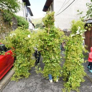 Ponferrada -  Fiesta de los Maios: La naturaleza cobra vida en Villafranca