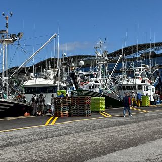 La pesca, en segundo plano en el borrador de 'Global Europe'