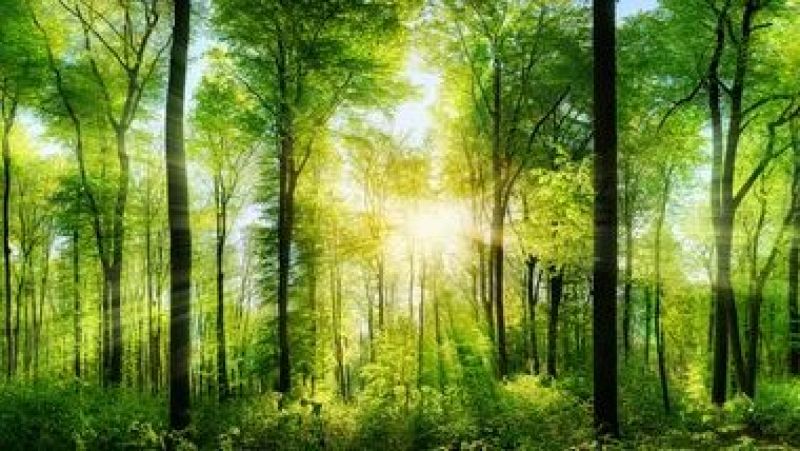 La hora azul - Landscapes - 16/04/26 - La hora azul | Escuchar