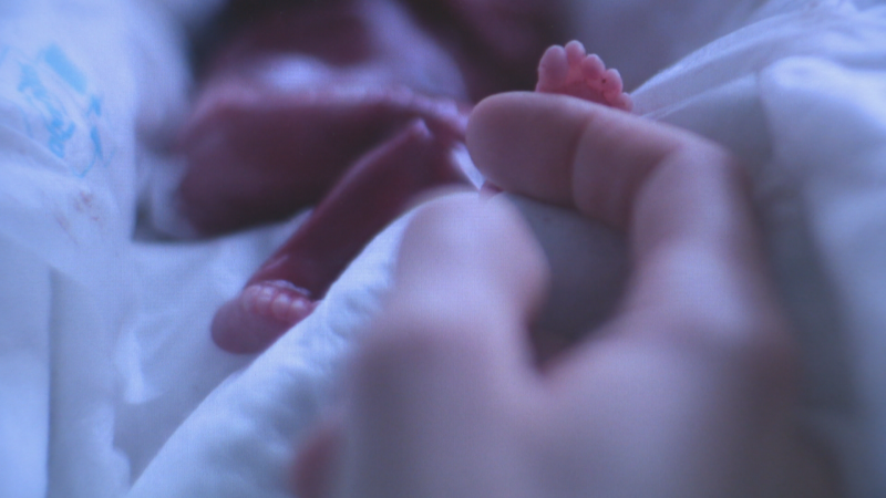 L'Entrellat - El dol perinatal de "Batecs" al TNC i tert�lia amb Elisenda Roca, Basha Changue i Gemma Soriano - L'Entrellat | Escoltar