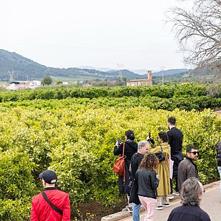 La 39� Dansa Val�ncia, con Cristina Reolid, Gustavo Gim�nez y Rosa Sanz