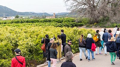 La sala - La 39� Dansa Val�ncia, con Cristina Reolid, Gustavo Gim�nez y Rosa Sanz - Escuchar ahora