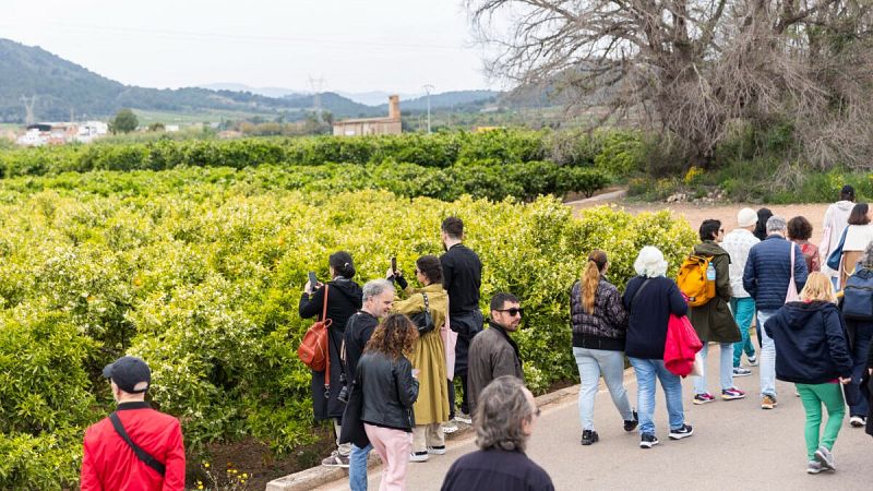 La sala - 39º Dansa Valencia - Cristina Reolid, Gustavo Giménez y Rosa Sanz | Escuchar
