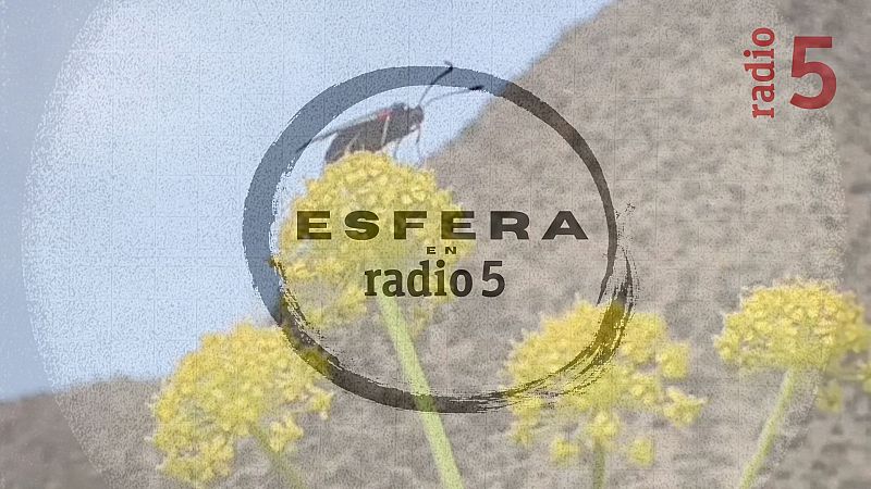 Esfera en Radio 5 - Raíz - 18/04/26 - Escuchar ahora