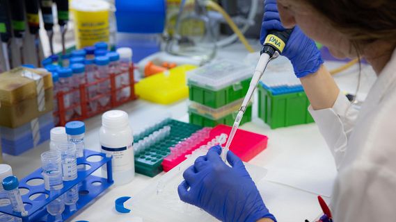 L'VHIO impulsa la primera ter�pia CAR-T contra tumors s�lids HER2+