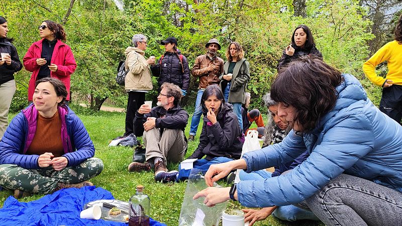 RadioActivas en Radio 5 - Salvajes, silvestres y espont�neas - 18/04/26 - Escuchar ahora