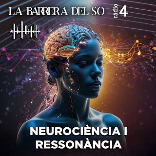 Neurociència i Ressonància