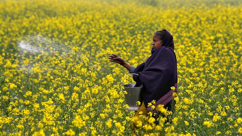 Cinco Continentes - Las consecuencias del bloqueo de Ormuz sobre los más pobres - Escuchar ahora