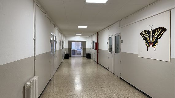 La cultura, una eina de superviv�ncia dins de Wad-Ras