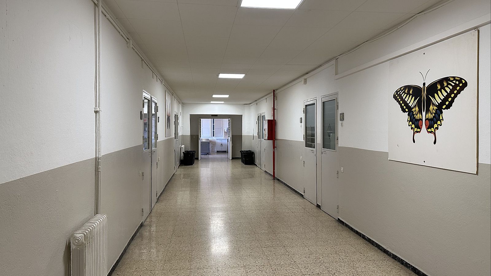 La cultura, una eina de supervivència dins de Wad-Ras | Laura Hurtado