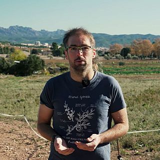 Marc Talavera: "Fa anys, el 85% dels productes que entraven a Mercabarna eren de proximitat; avui, nom�s el 15%"