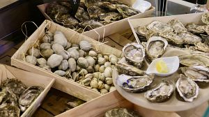 Barcelona acull la fira m�s gran del Seafood Global Expo