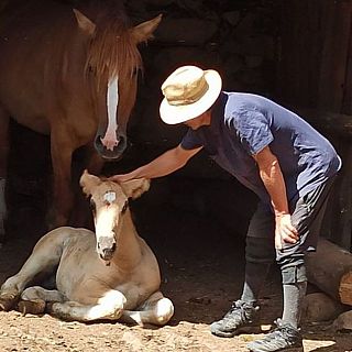 Eloi Renau, viu sol a Àrreu: "M'agradaria trobar parella i que vingués al Pirineu"