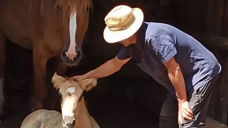 El mat� de R�dio 4 -  Eloi Renau, viu sol a �rreu: ?M'agradaria tenir parella i que vingu�s al Pirineu" - El mat� de R�dio 4 | Escoltar