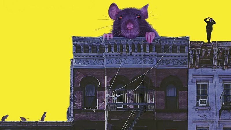 El sótano - Efectos secundarios poco comunes - 21/04/26 - El sótano | Escuchar